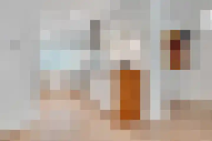 Fornheselaan 66 Den Dolder thumbnail 6
