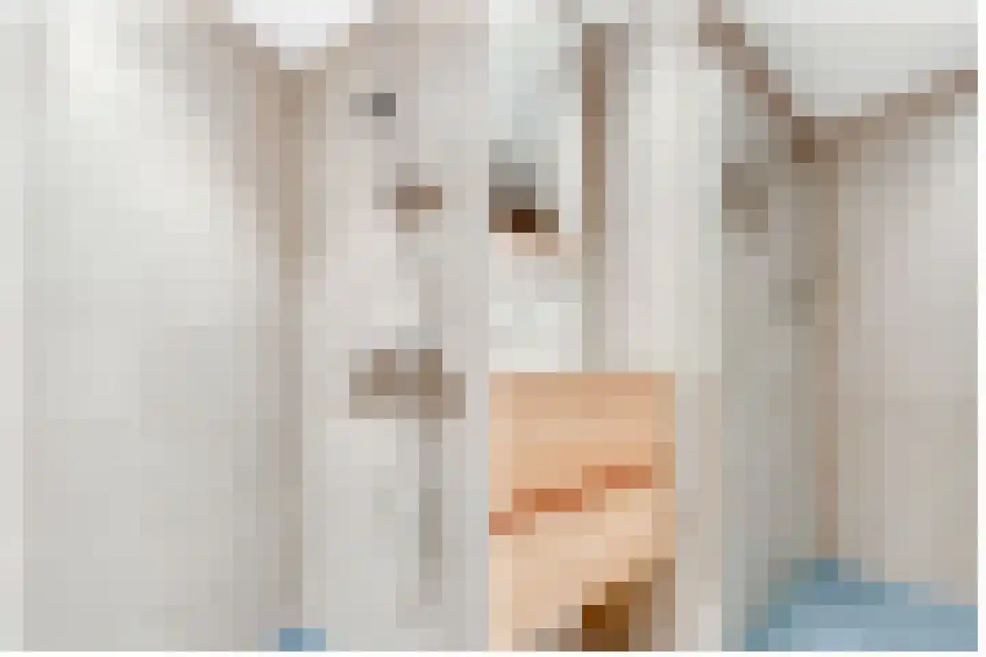 Fornheselaan 68 Den Dolder thumbnail 20