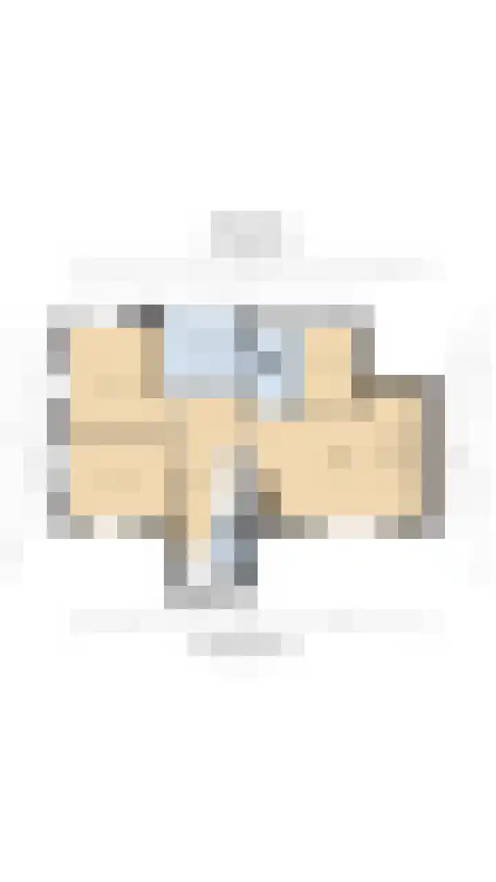 Forsythia 32 Dirksland