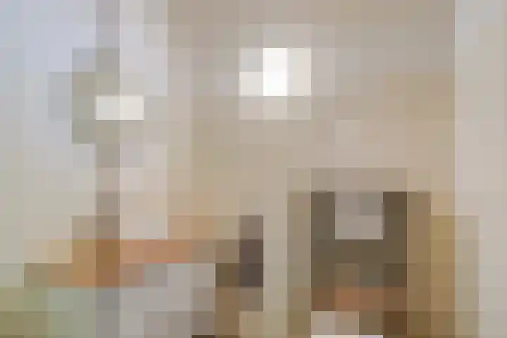 Forsythialaan 20 Winterswijk thumbnail 21