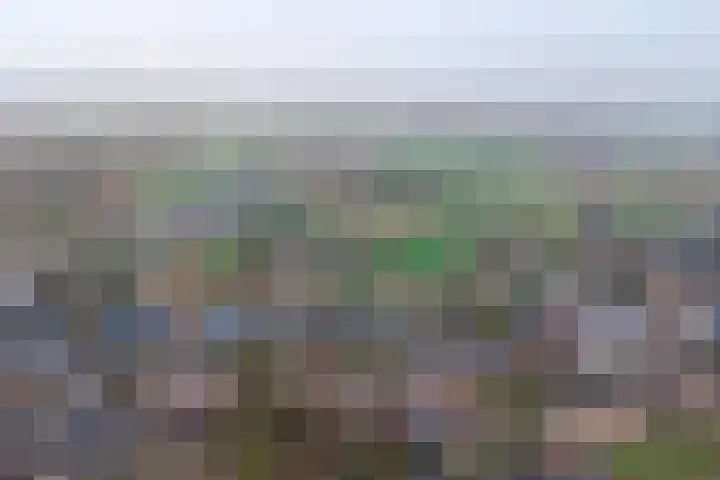 Forsythialaan 23 Winterswijk thumbnail 44