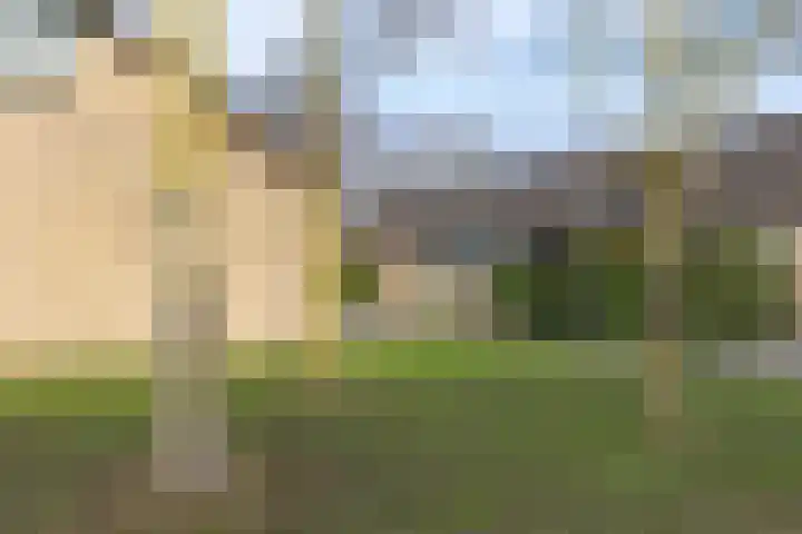 Forsythialaan 28 Winterswijk thumbnail 34