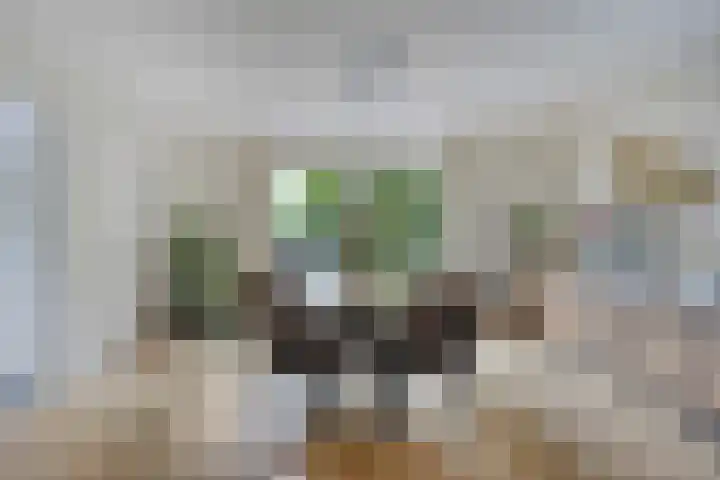 Forsythiastraat 11 Geleen thumbnail 10