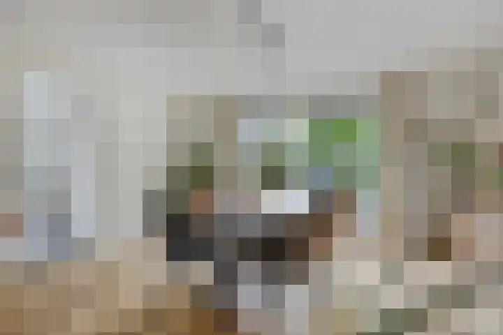 Forsythiastraat 11 Geleen thumbnail 11