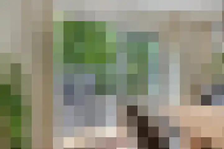 Forsythiastraat 11 Geleen thumbnail 13