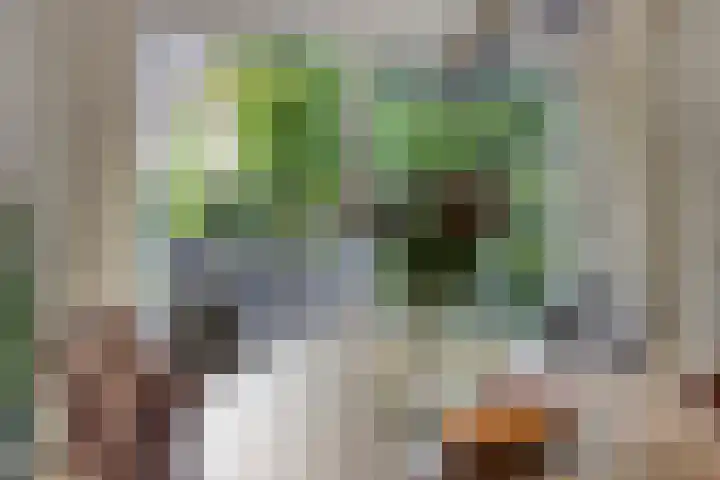Forsythiastraat 11 Geleen thumbnail 14