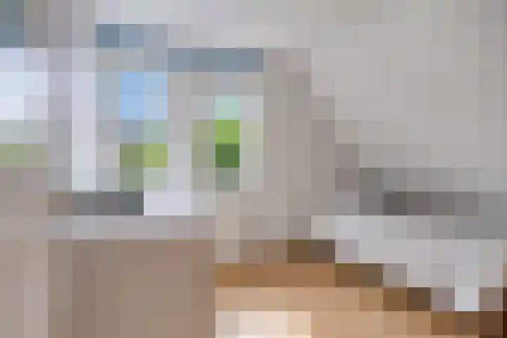 Forsythiastraat 11 Geleen thumbnail 25