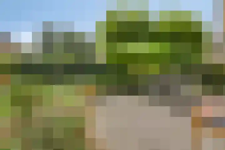 Forsythiastraat 11 Geleen thumbnail 28