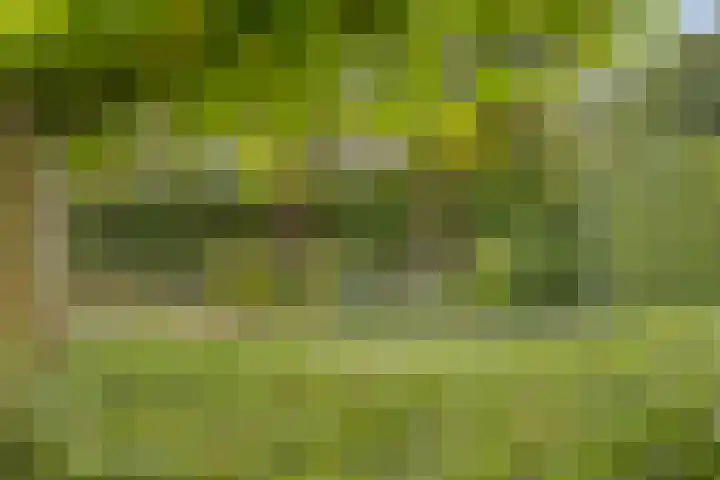 Forsythiastraat 11 Geleen thumbnail 30