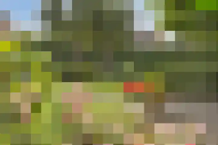 Forsythiastraat 11 Geleen thumbnail 31