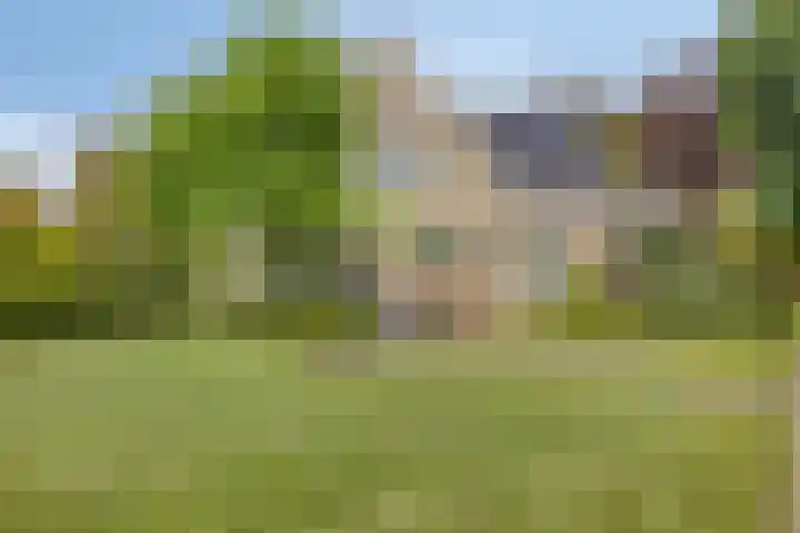 Forsythiastraat 11 Geleen thumbnail 33