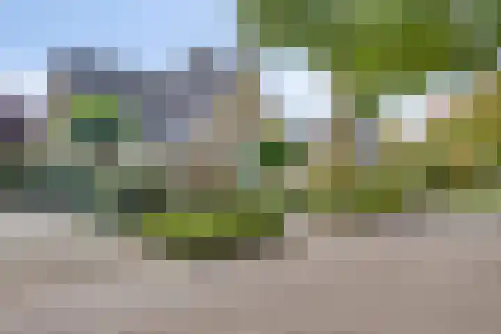Forsythiastraat 11 Geleen thumbnail 36