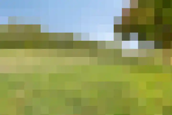 Forsythiastraat 11 Geleen thumbnail 37