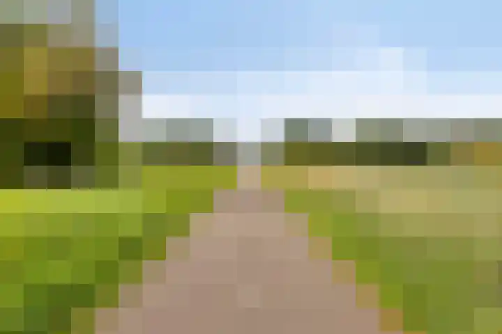 Forsythiastraat 11 Geleen thumbnail 39