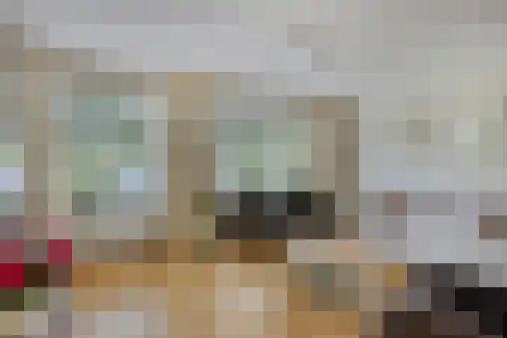Forsythiastraat 11 Geleen thumbnail 6