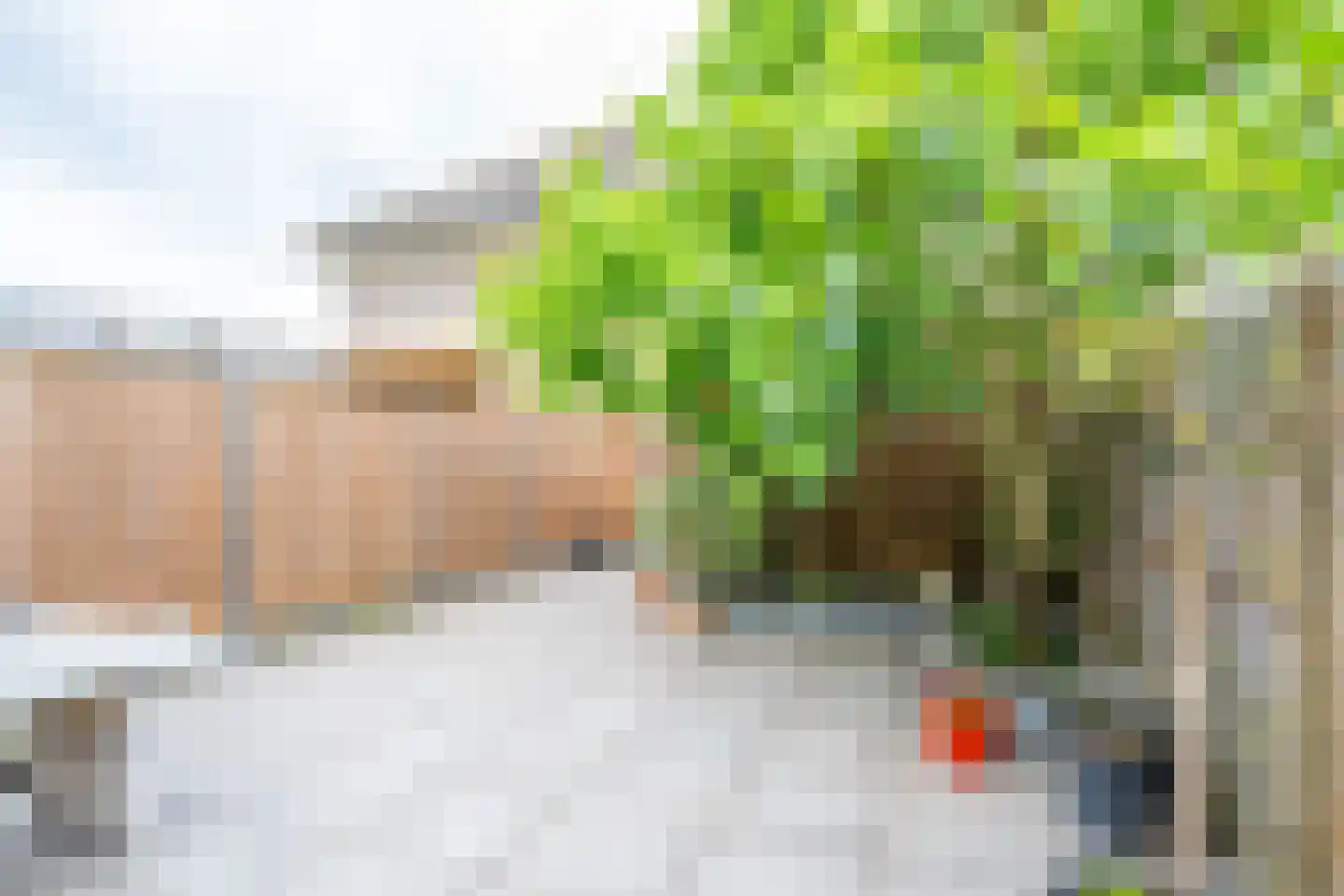 Forsythiastraat 13 Lisserbroek thumbnail 22