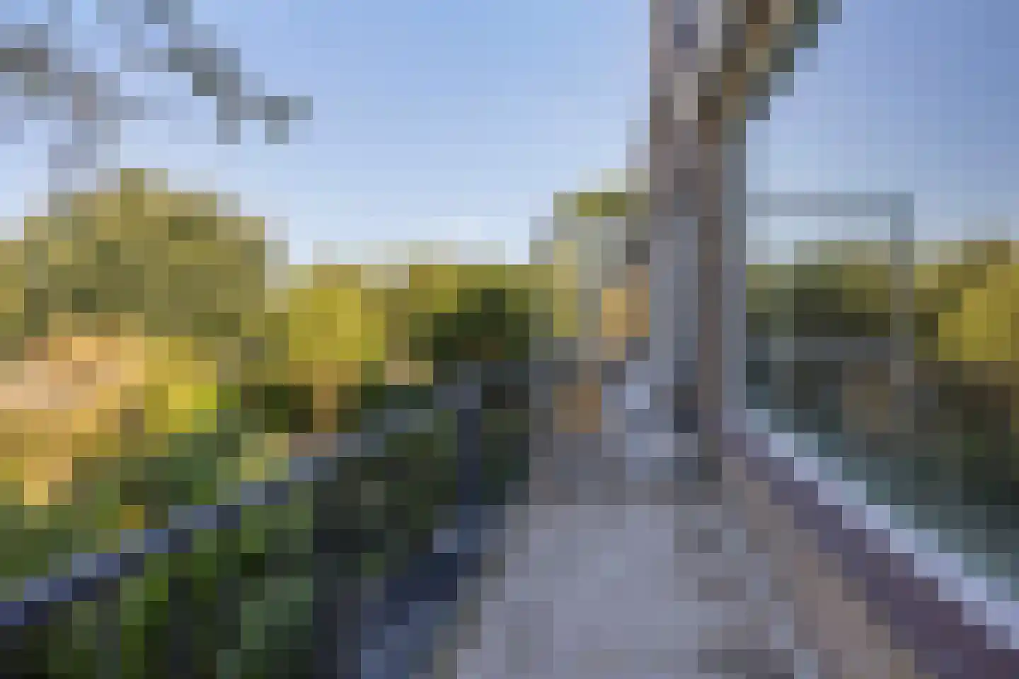 Forsythiastraat 15 Berkel en Rodenrijs thumbnail 21