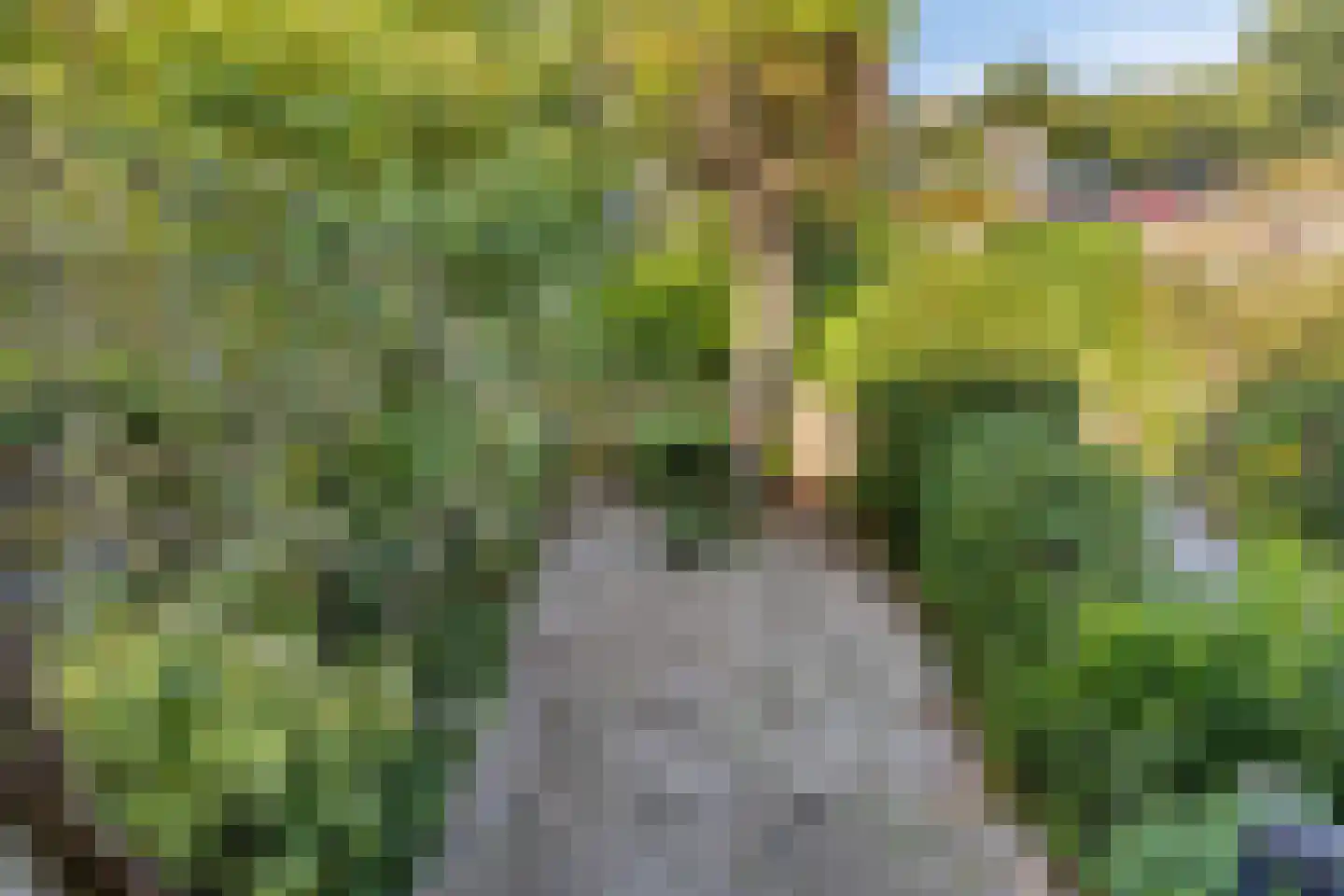 Forsythiastraat 15 Berkel en Rodenrijs thumbnail 22