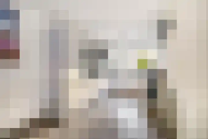 Forsythiastraat 15 Lisserbroek thumbnail 10