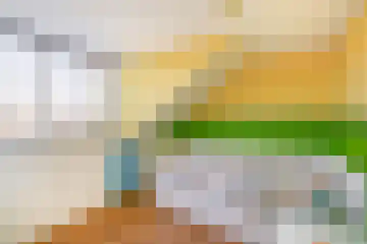 Forsythiastraat 15 Lisserbroek thumbnail 26