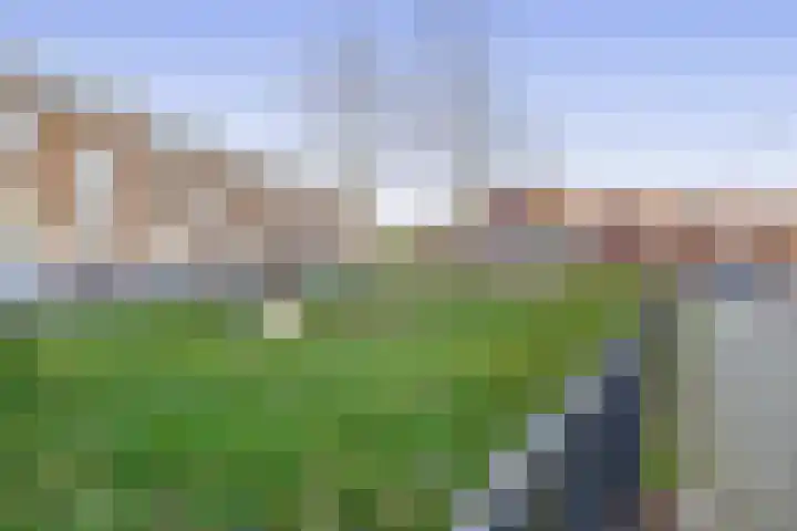 Forsythiastraat 15 Lisserbroek thumbnail 39