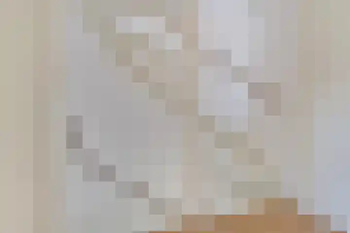 Forsythiastraat 37 Lisserbroek thumbnail 16