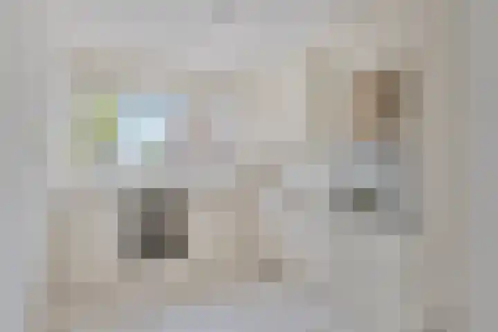 Forsythiastraat 37 Lisserbroek thumbnail 5