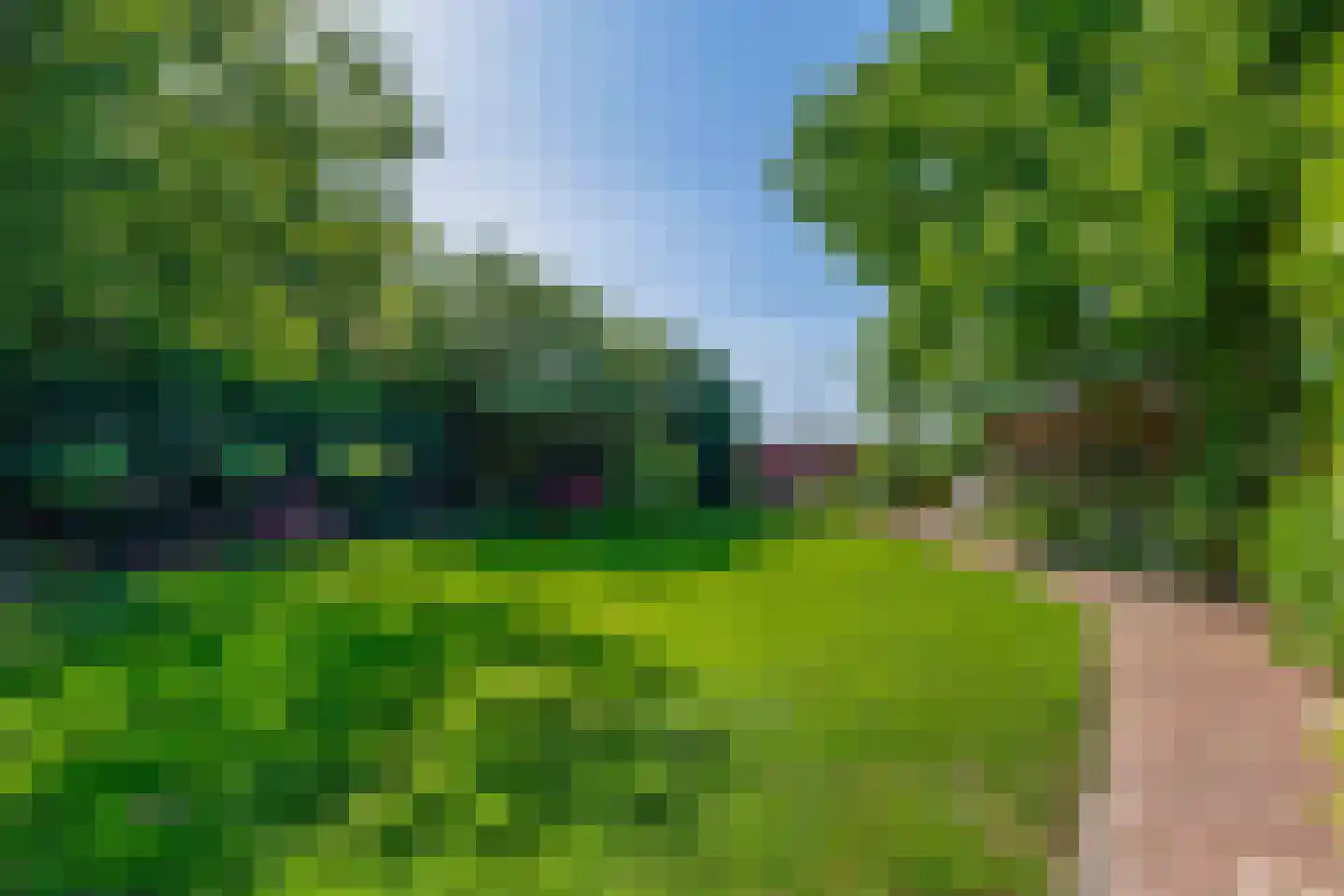 Forsythiastraat 44 Lisserbroek thumbnail 21