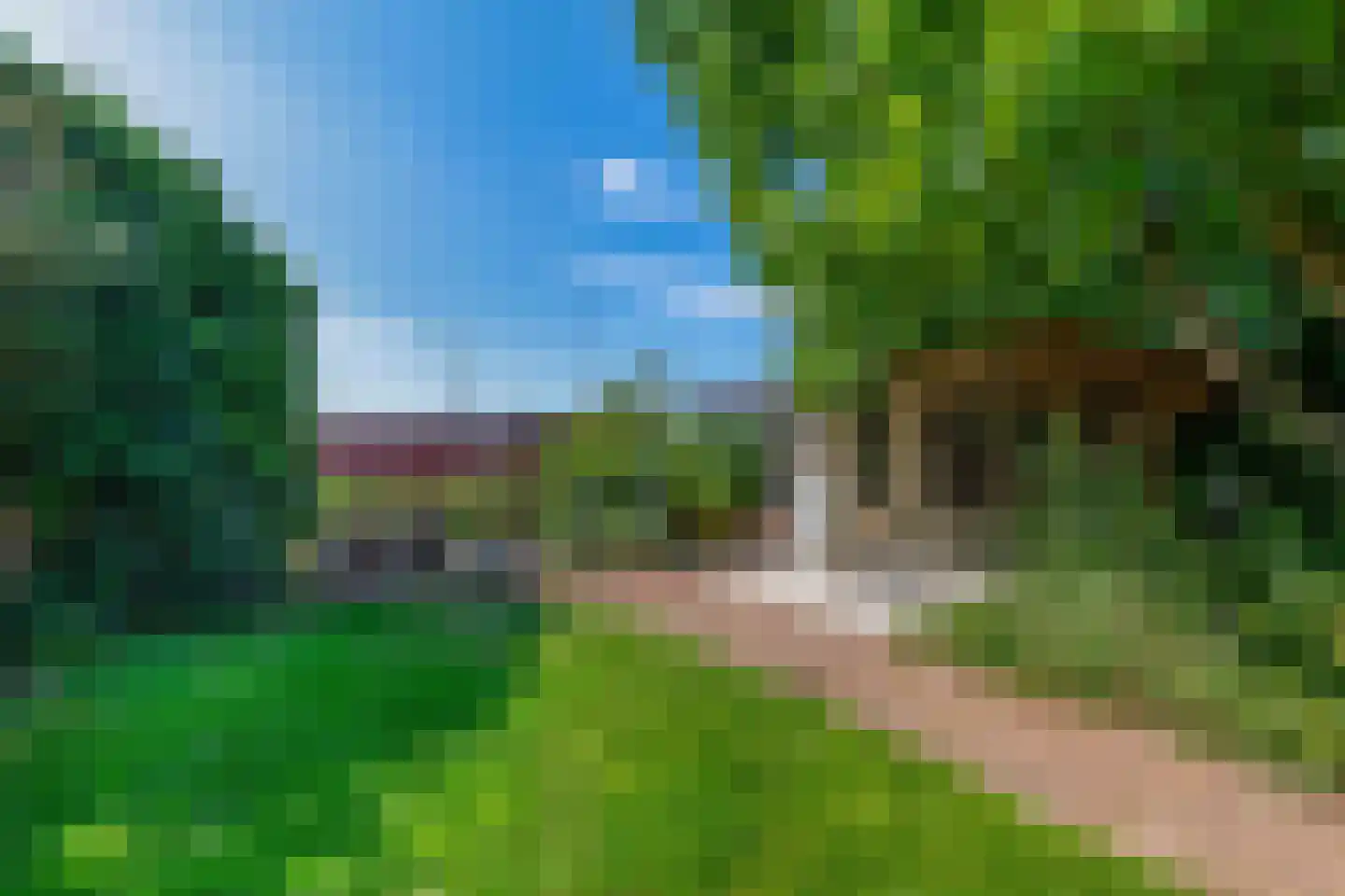 Forsythiastraat 44 Lisserbroek thumbnail 22