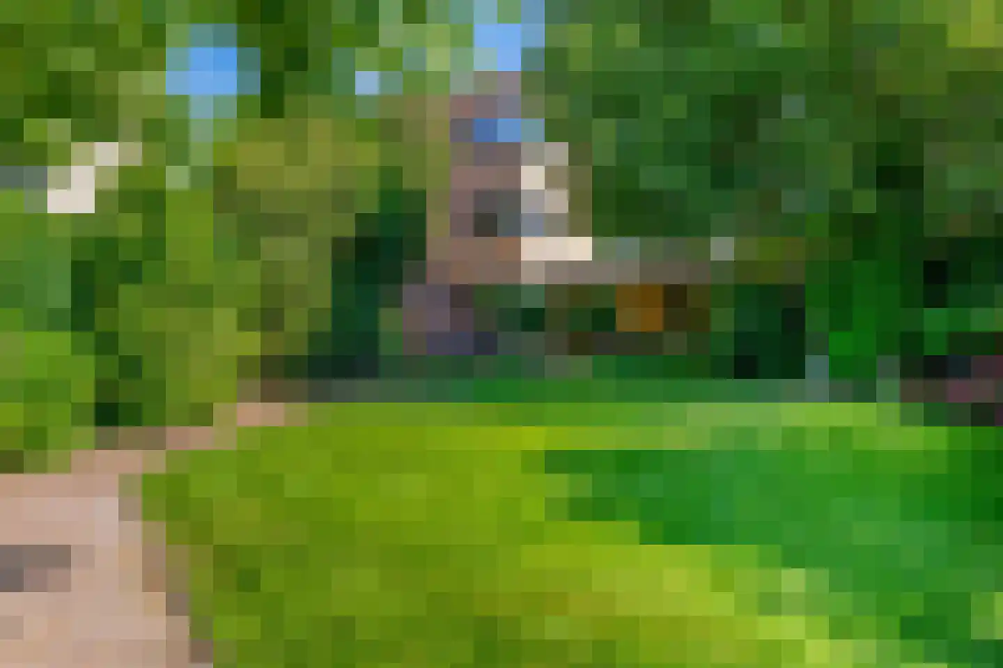 Forsythiastraat 44 Lisserbroek thumbnail 28