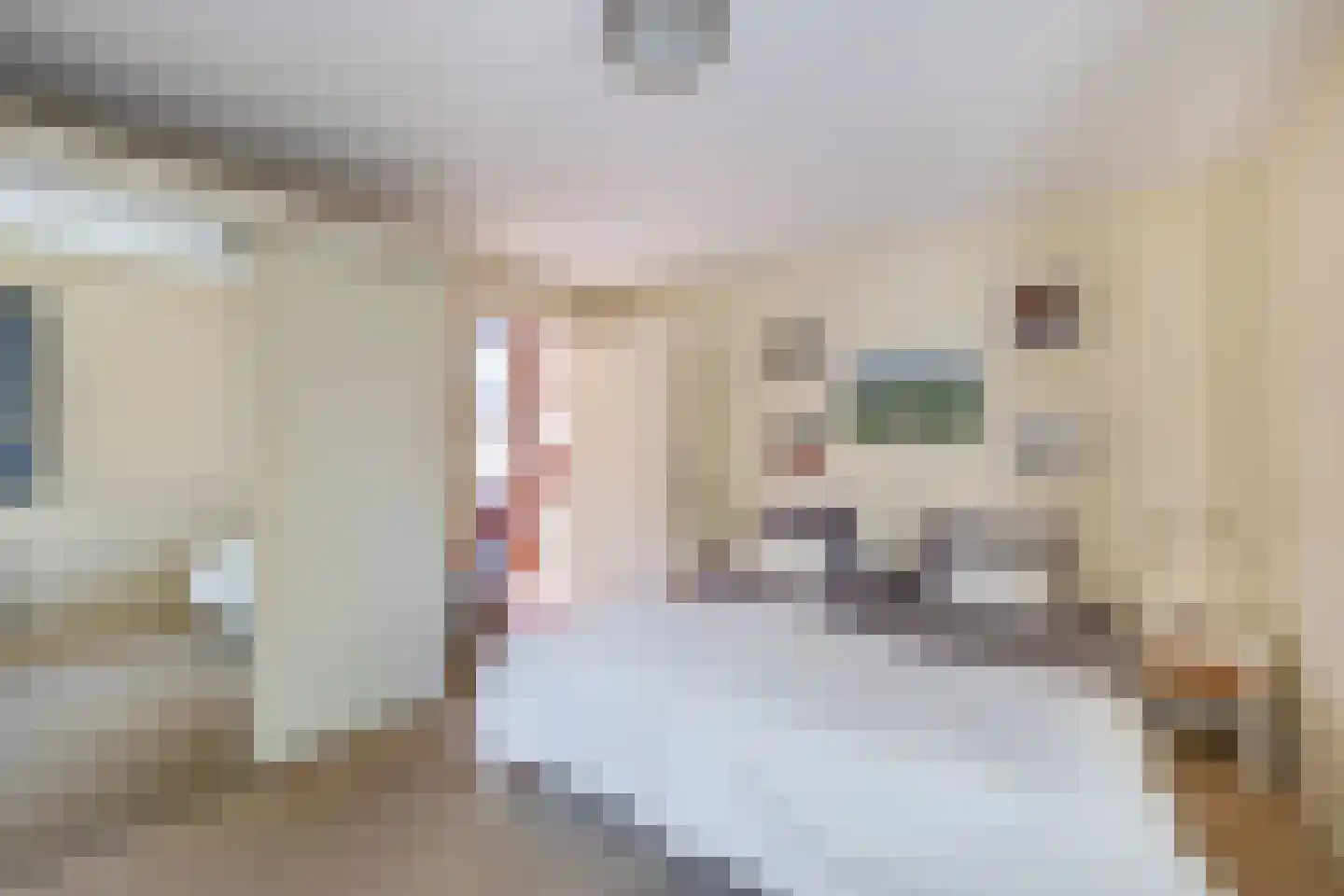 Forsythiastraat 44 Lisserbroek thumbnail 38