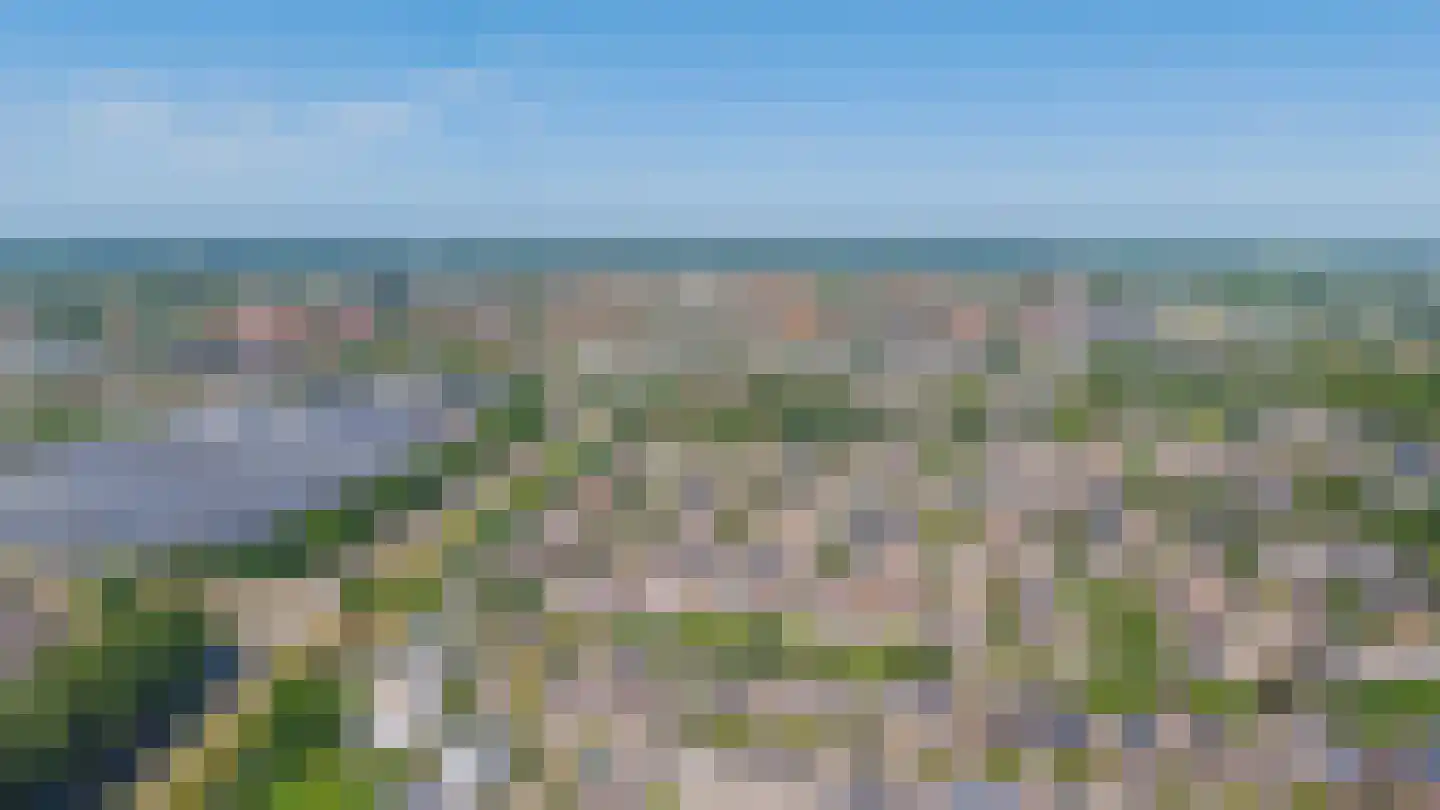 Forsythiastraat 44 Lisserbroek thumbnail 70