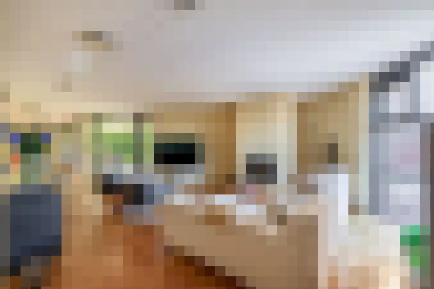 Forsythiastraat 44 Lisserbroek thumbnail 8