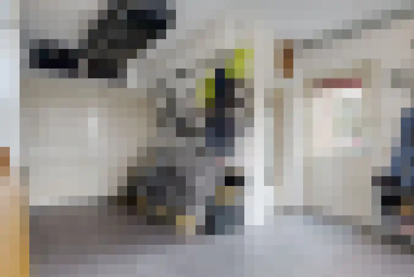 Forsythiastraat 54 Lisserbroek thumbnail 21