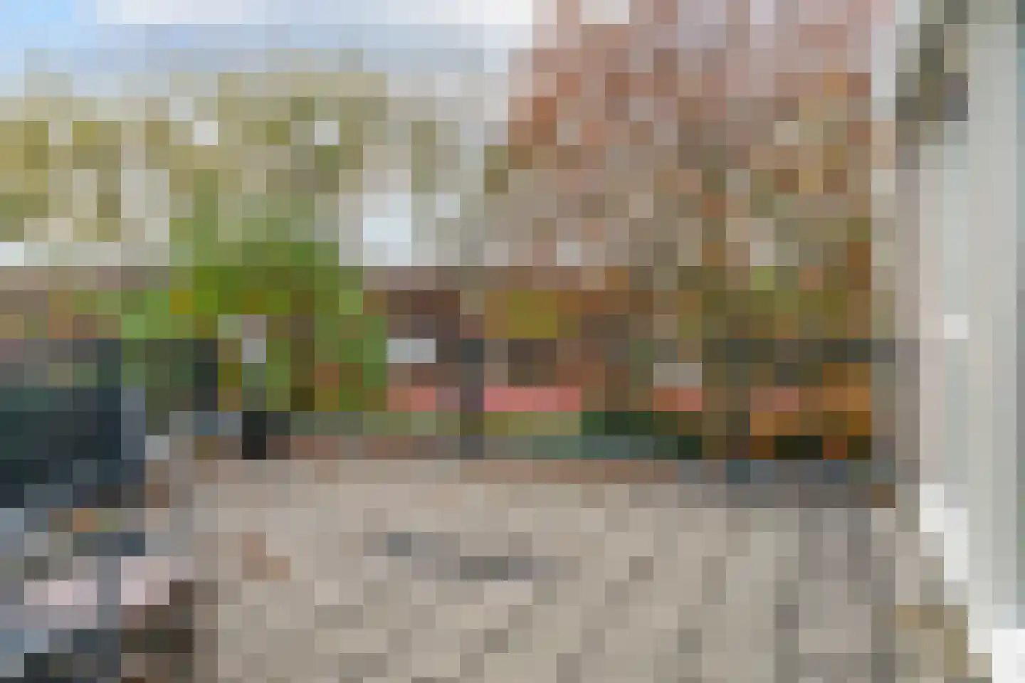 Forsythiastraat 54 Lisserbroek thumbnail 35