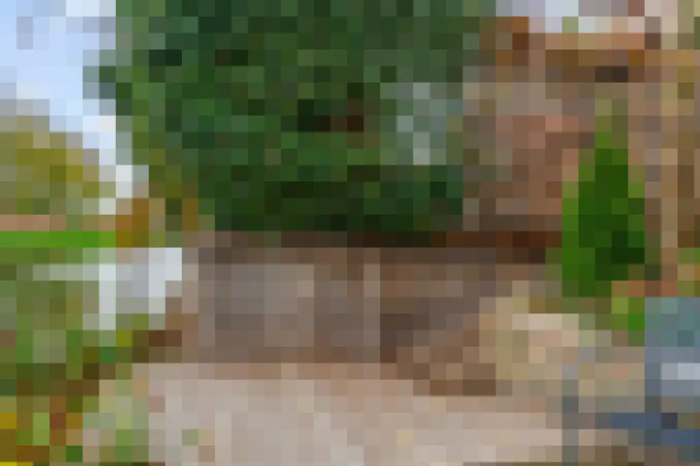 Forsythiastraat 54 Lisserbroek thumbnail 40