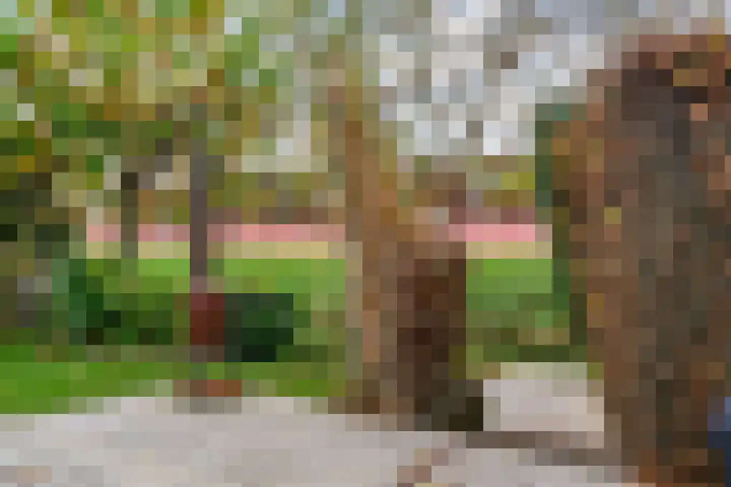 Forsythiastraat 54 Lisserbroek thumbnail 43