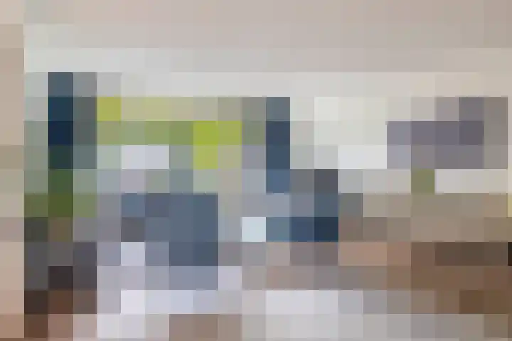 Fort 20 Berkel en Rodenrijs thumbnail 12