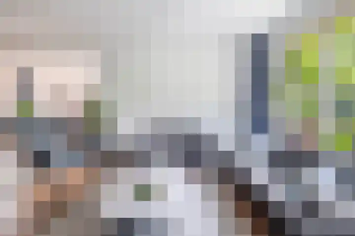 Fort 20 Berkel en Rodenrijs thumbnail 15