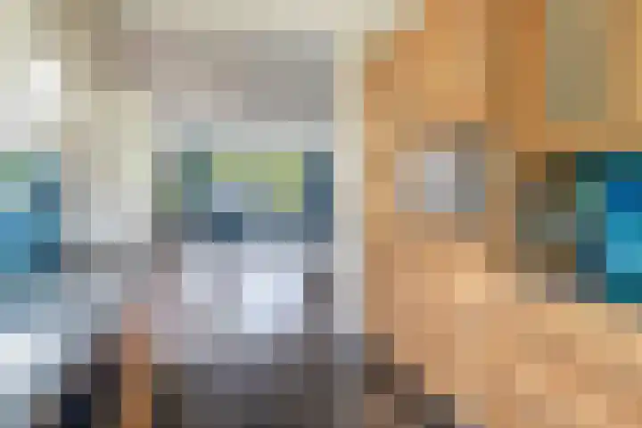 Fort 20 Berkel en Rodenrijs thumbnail 21