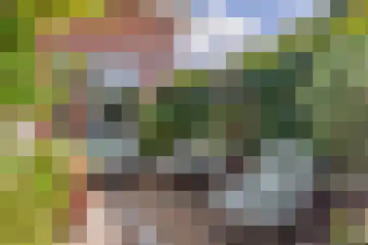 Fort 20 Berkel en Rodenrijs thumbnail 23