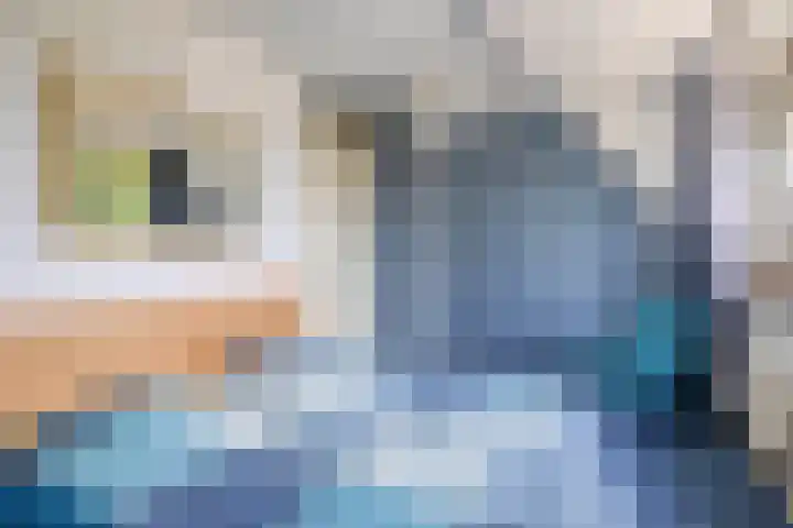 Fort 20 Berkel en Rodenrijs thumbnail 30