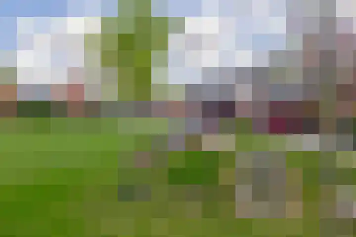 Fort 20 Berkel en Rodenrijs thumbnail 39