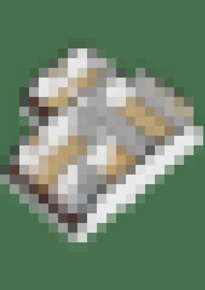 Fort 20 Berkel en Rodenrijs thumbnail 44