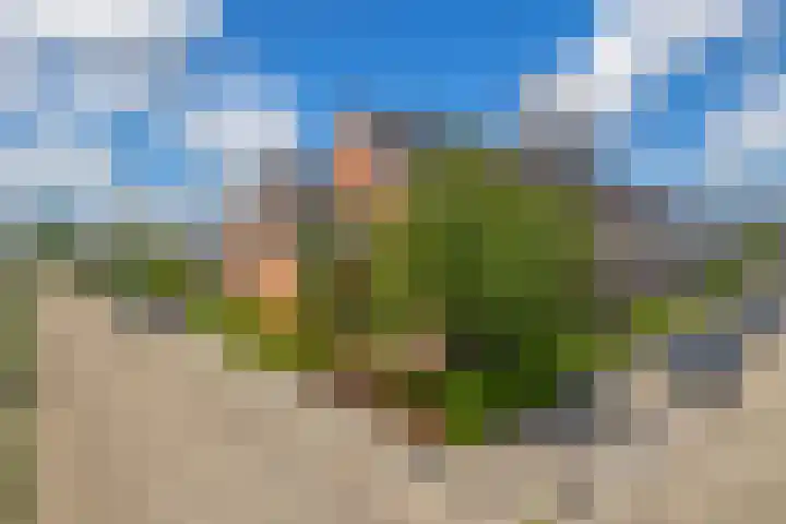 Fort 20 Berkel en Rodenrijs thumbnail 5