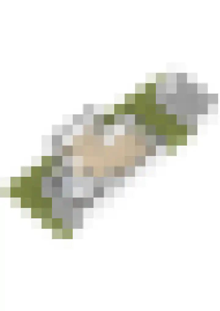 Fort 20 Berkel en Rodenrijs thumbnail 53