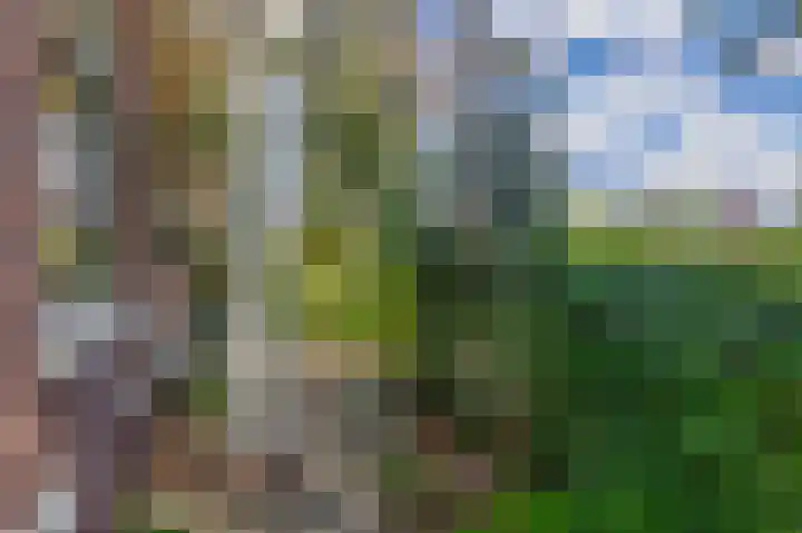 Fort 20 Berkel en Rodenrijs thumbnail 7