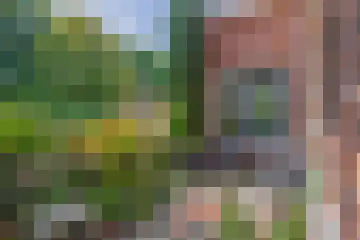 Fort 20 Berkel en Rodenrijs thumbnail 8
