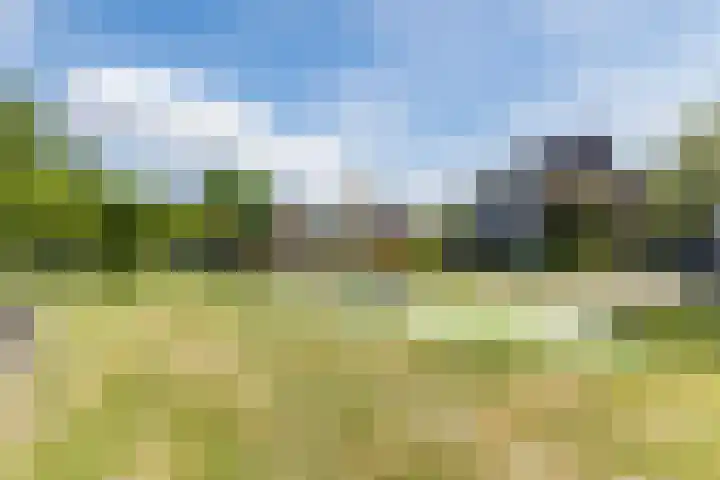 Fort 20 Veldhoven thumbnail 43