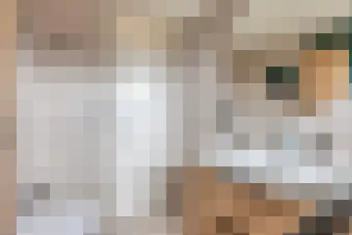 Fort 3 Breda thumbnail 17